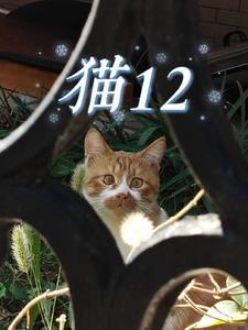 罗天九道天书最新章节无弹窗